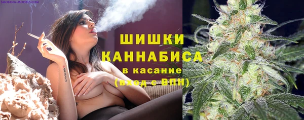 СК Краснослободск