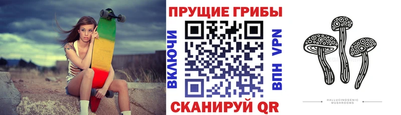 Галлюциногенные грибы Psilocybe  где можно купить   Медвежьегорск 